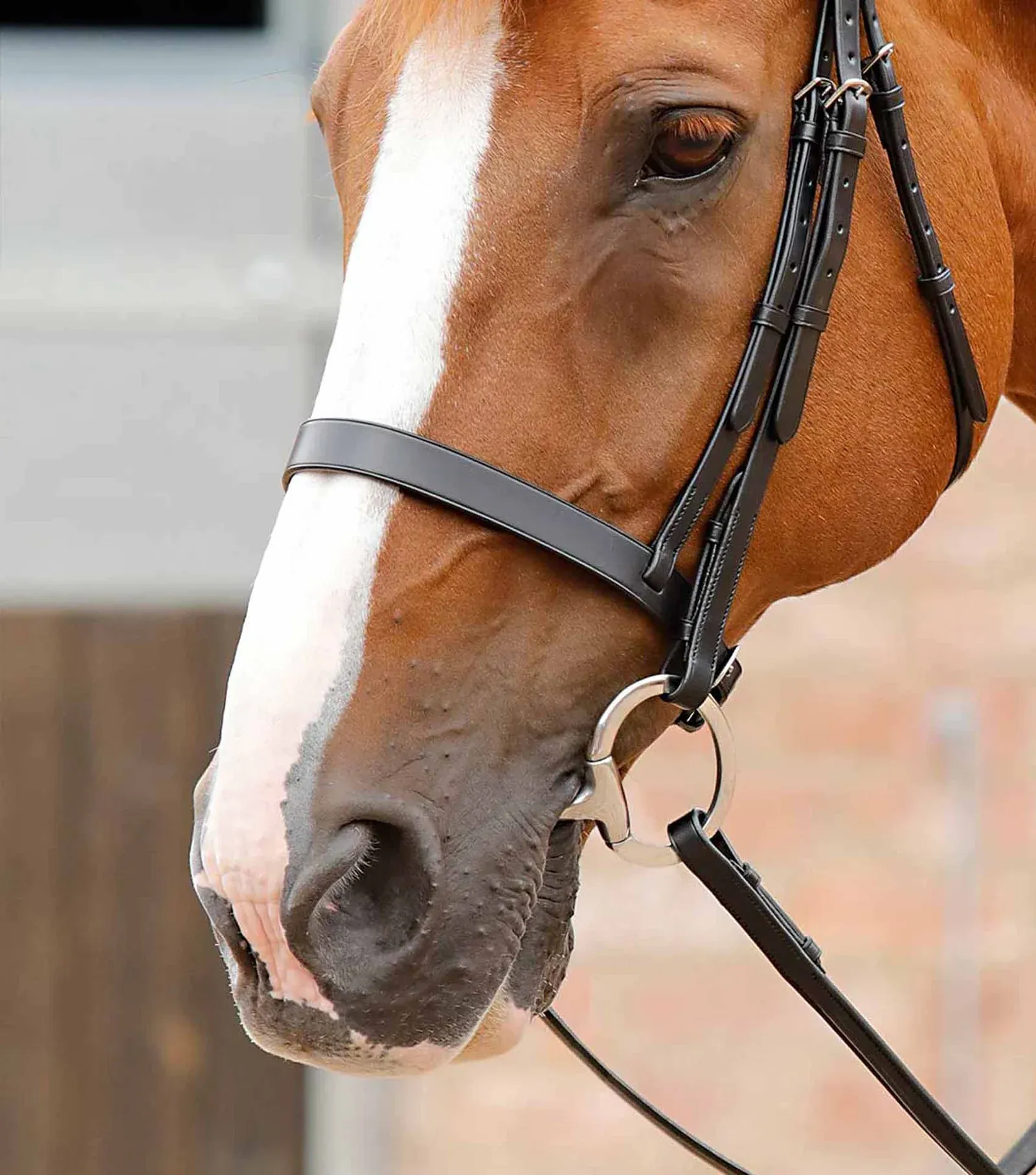 Bridle Parts - Primo Hunter Cavesson Noseband (PEI)