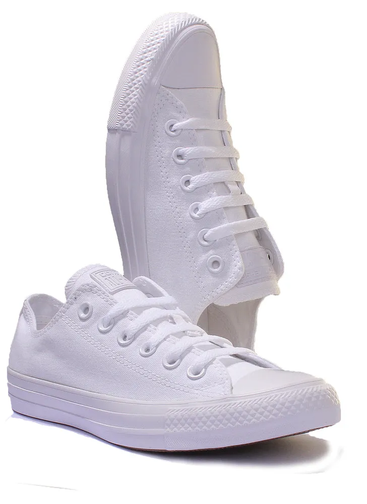 Converse 1U647 CT All Star Low Trainer In White Mono